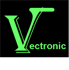 Vectronic Inverter UPS